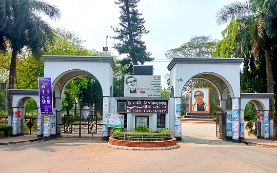 image-here